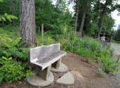 Amenities 7