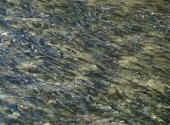 dsc01124
